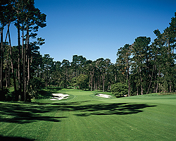 Spyglass #16